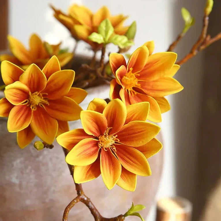 Skanto | Künstige Magnolia Blomster