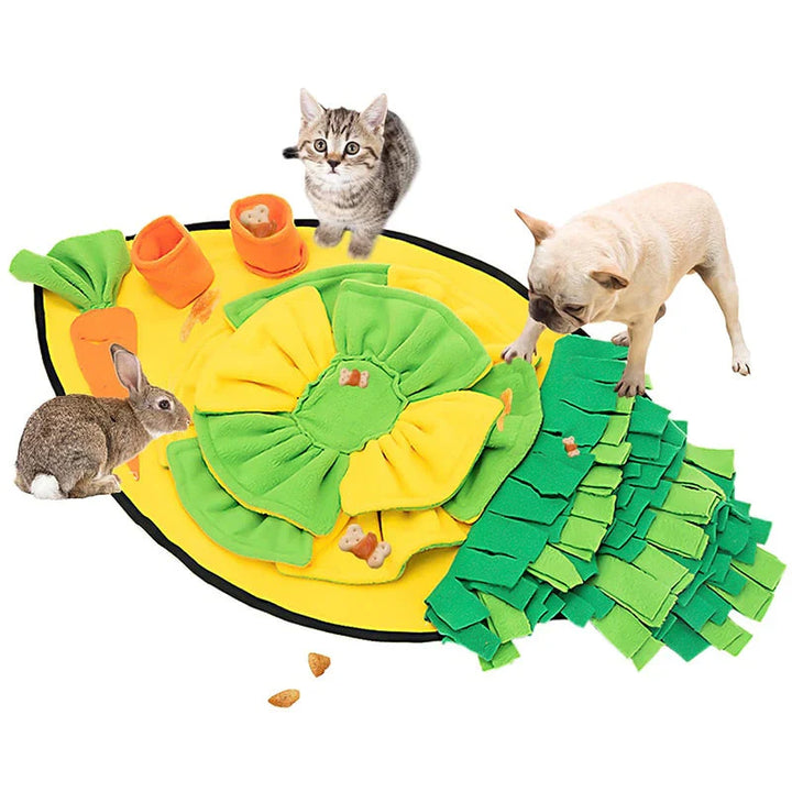 ScentQuest Interaktiv Sniffing Mat – SniffMaster Skanto