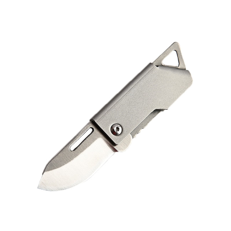 Foldbar Master Rustfritt Stål Overlevelses Mini Kniv | Skanto