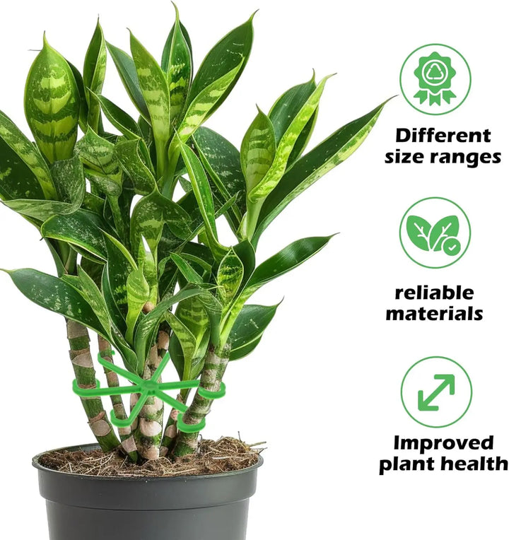 Skanto | Plante Stengel Støtte Ramme