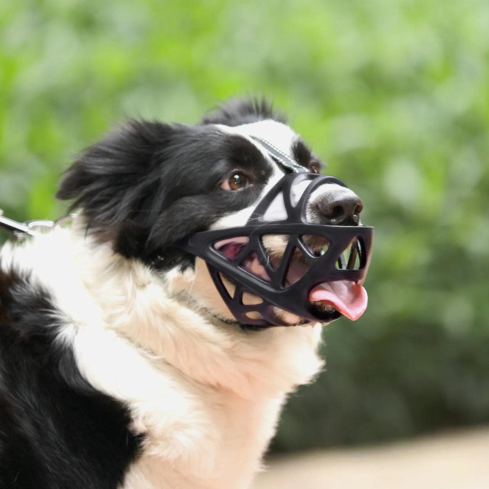 SafeBark Hundebur – Effektiv Anti-Bite og Anti-Bark Løsning, Pustende og Komfortabel | Skanto