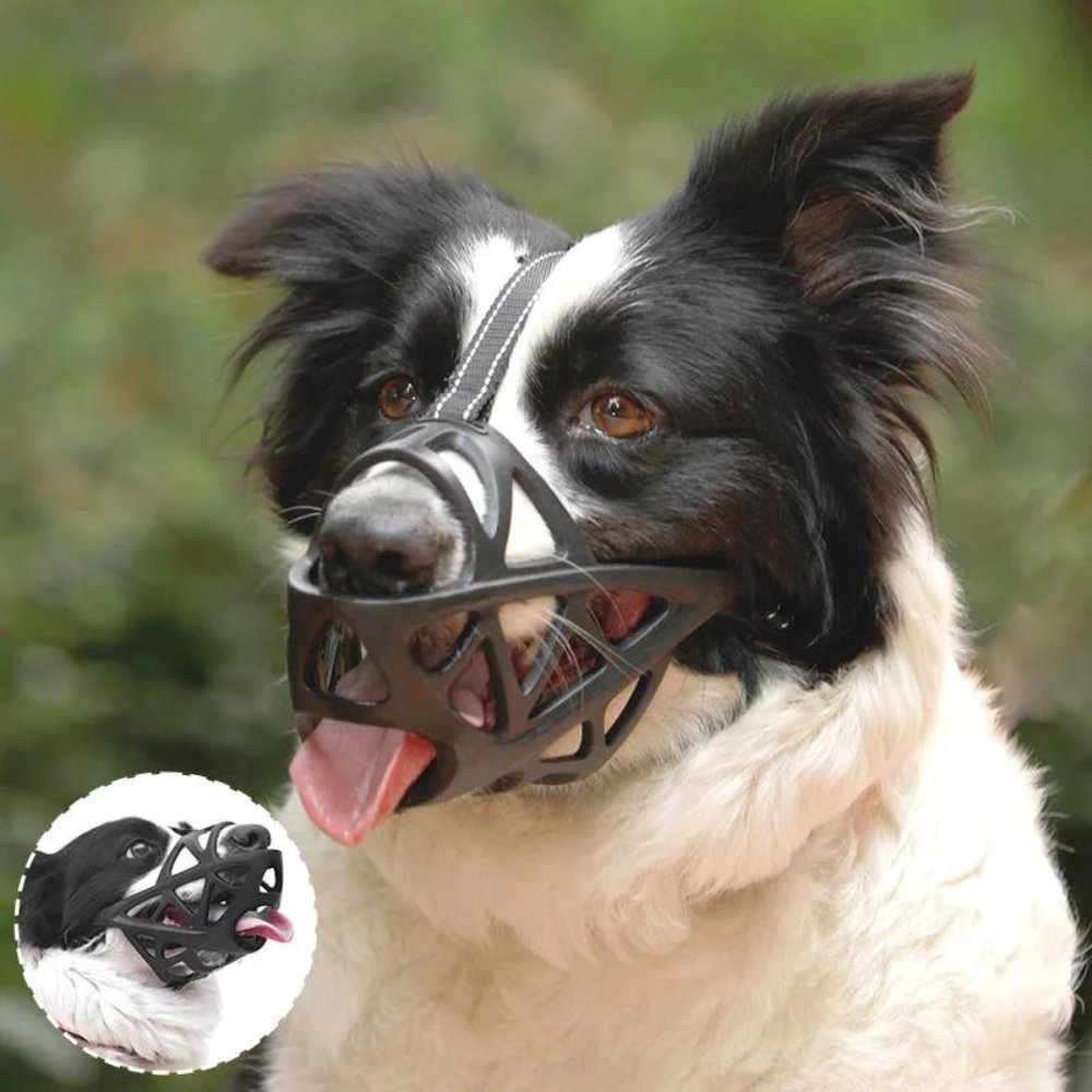 SafeBark Hundebur – Effektiv Anti-Bite og Anti-Bark Løsning, Pustende og Komfortabel | Skanto