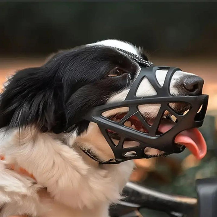 SafeBark Hundebur – Effektiv Anti-Bite og Anti-Bark Løsning, Pustende og Komfortabel | Skanto