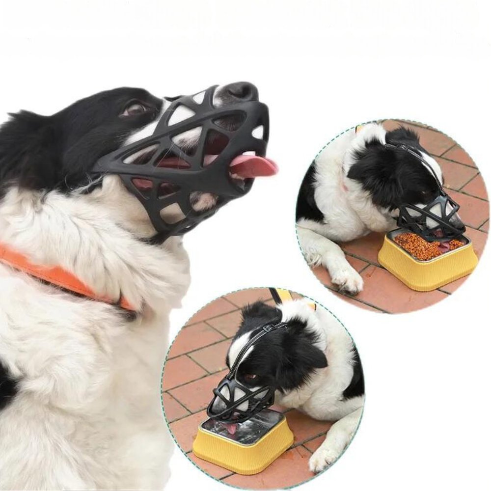 SafeBark Hundebur – Effektiv Anti-Bite og Anti-Bark Løsning, Pustende og Komfortabel | Skanto