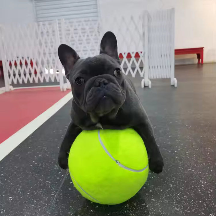 Ekstra stor tennisball for hunder Skanto