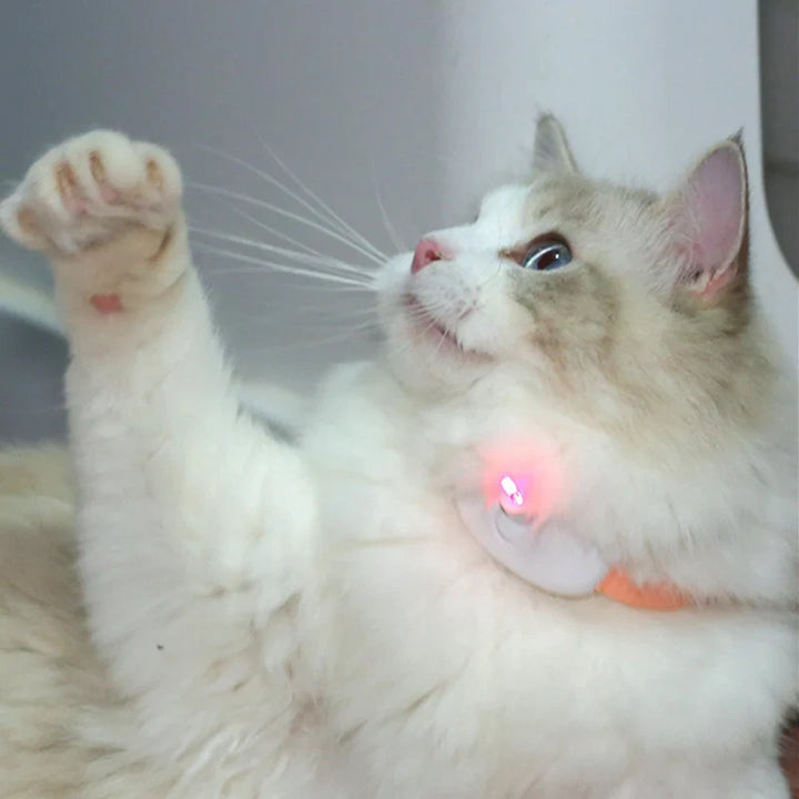 Freesthetic Laser Collar for Cats Skanto