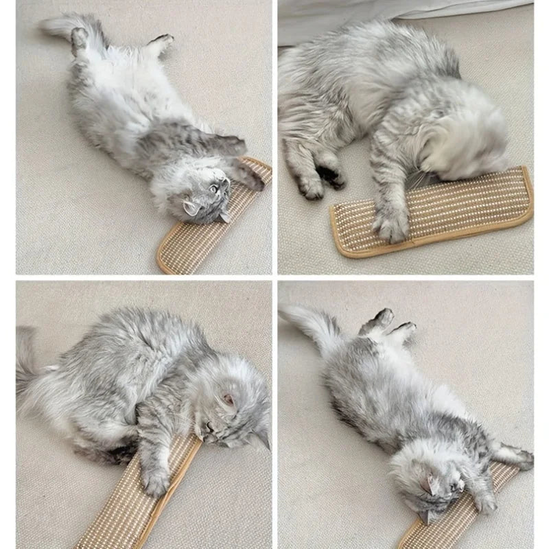 Klorepute for katter med kattmynt holdbar og robust Skanto