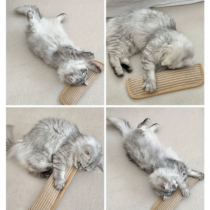 Klorepute for katter med kattmynt holdbar og robust Skanto