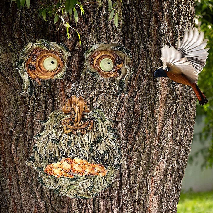 Skanto | Eyes of Nature: Tre Ansikt Fugl Matestasjon