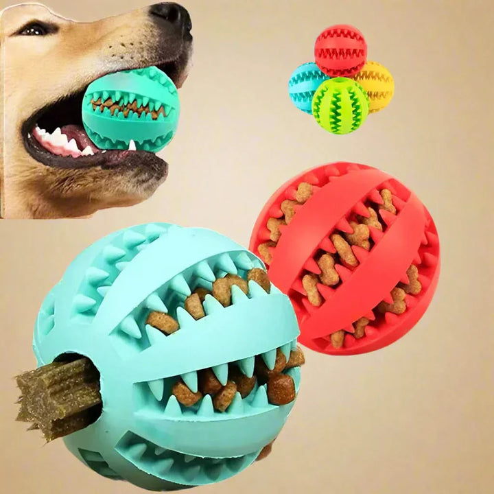 Skanto | KauSpaß Intelligensball – For sunne tenner & smarte hjerner
