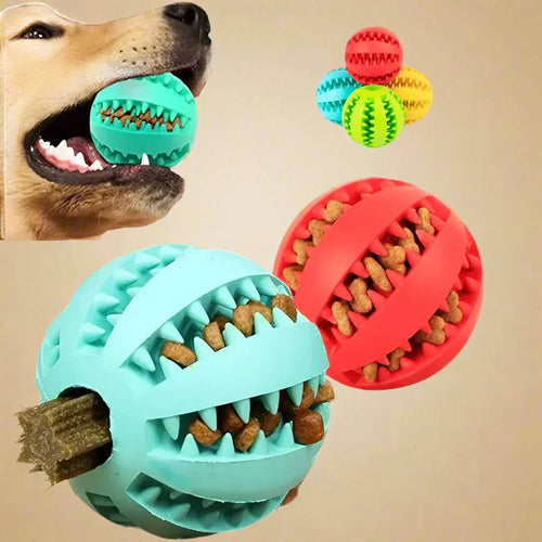 Skanto | KauSpaß Intelligensball – For sunne tenner & smarte hjerner