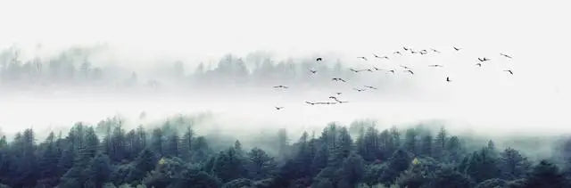 Mountain Lake Forest Wilderness Wall Art Large Format Canvas Prints Wide Landscape Above Sofa or Bed | Skanto