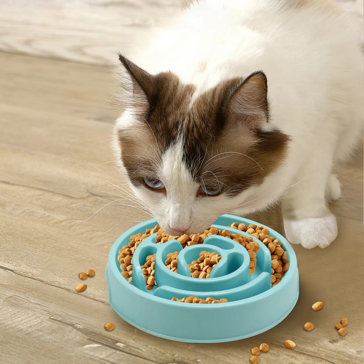 Skanto | Ultimate Pet Slow Feeder Bowl – Sikker og robust for alle dyrestørrelser