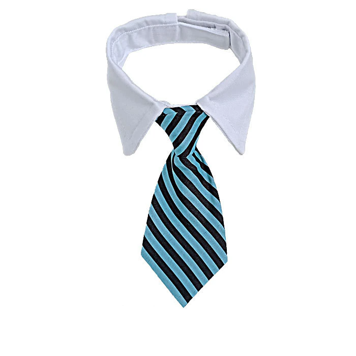 Sugar & Cotton's Famous Pet Neckties | Skanto