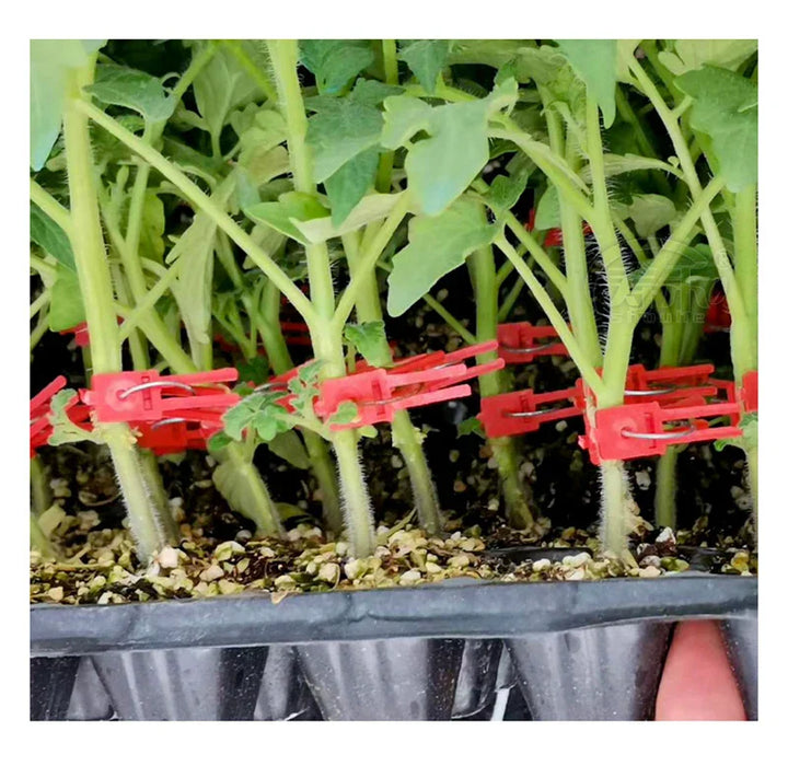 Skanto | Plastforbedringsklips for hageplanter – Ideell for grønnsaker og plantepleie