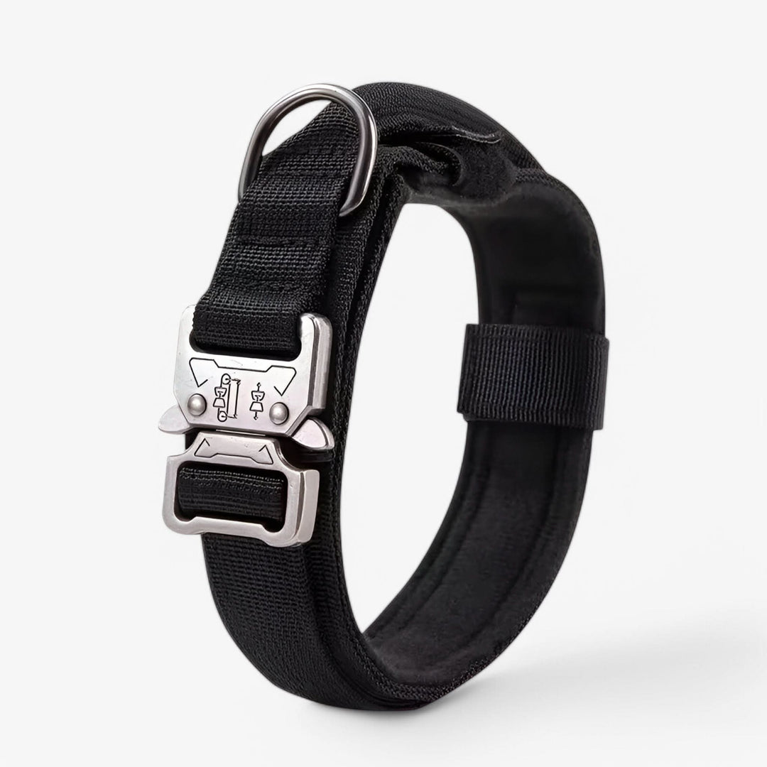 Skanto | OutdoorHeld Hundehalsbånd – For aktive hunder med utholdenhet