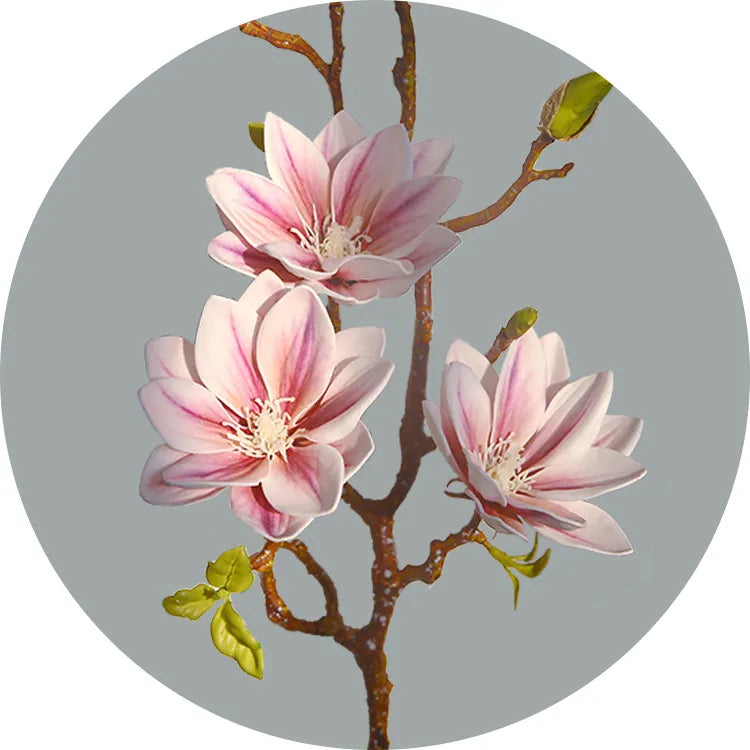 Skanto | Künstige Magnolia Blomster