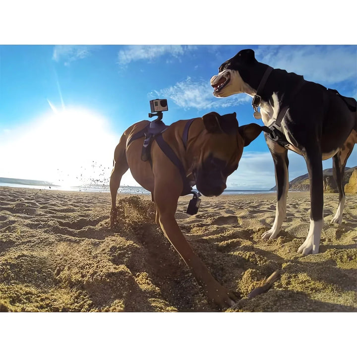 Action-Cam Hundesele med 360° Perspektiv Skanto