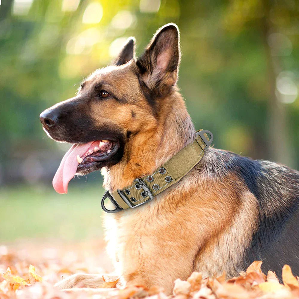 Skanto | Militær hundehalsbånd