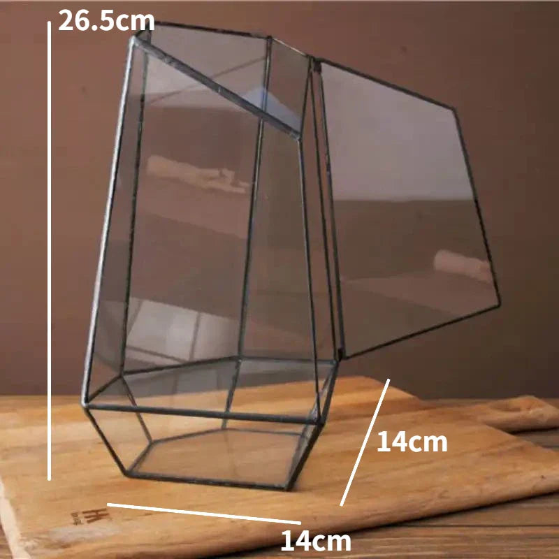 Skanto | Moderne Geometrisk Naturinspirert Botanisk Terrarium