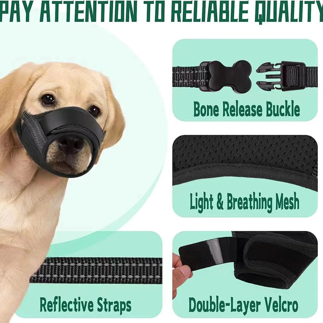 Skanto | Pustende Hundemuzzle