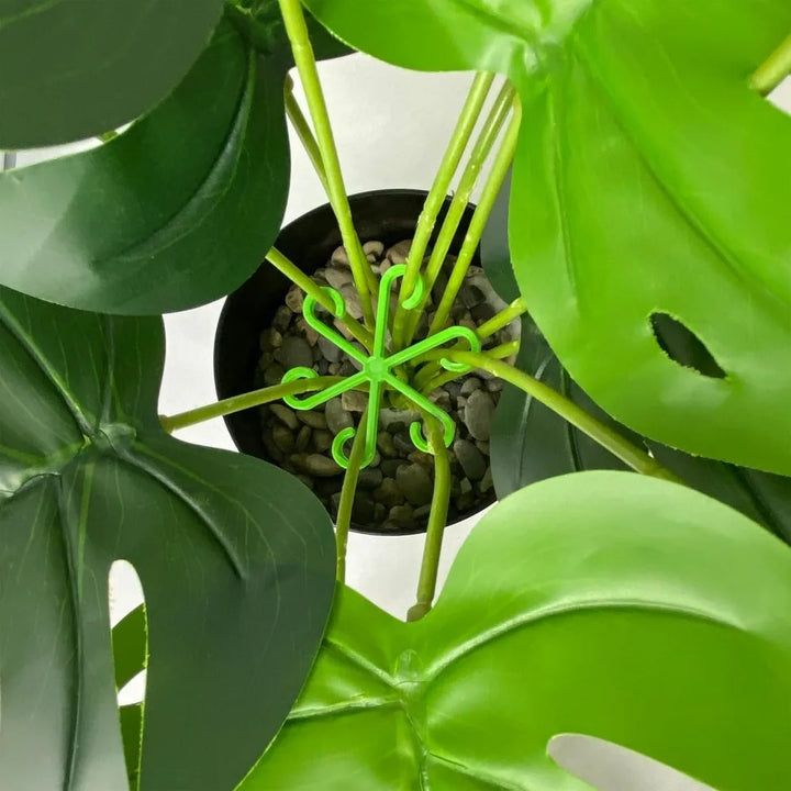 Skanto | Plante Stengel Støtte Ramme