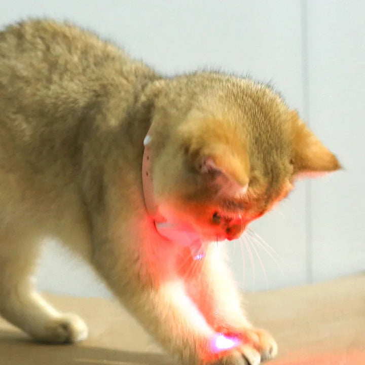 Freesthetic Laser Collar for Cats Skanto