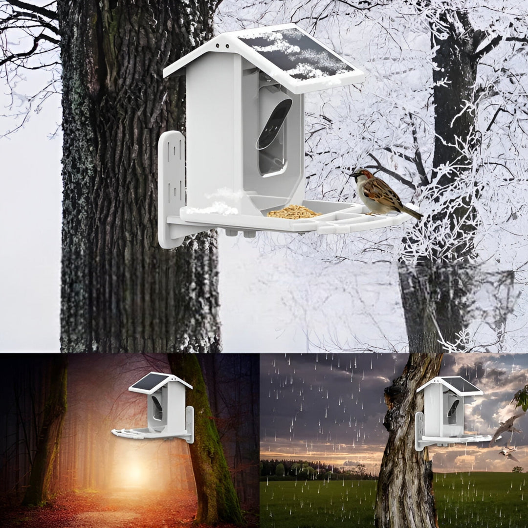 Skanto | Auxco | Smart Bird Feeder med 1080P HD Kamera, AI Fuglgjenkjenning & Solenergi Lading