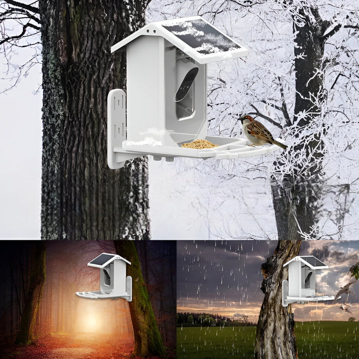 Skanto | Auxco | Smart Bird Feeder med 1080P HD Kamera, AI Fuglgjenkjenning & Solenergi Lading
