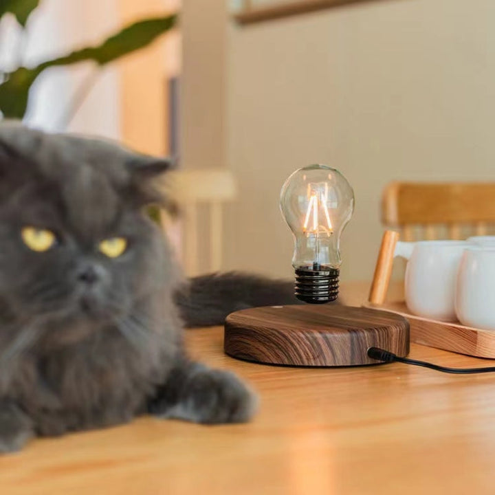 Skanto | MagnaGlow flytende perle lampe
