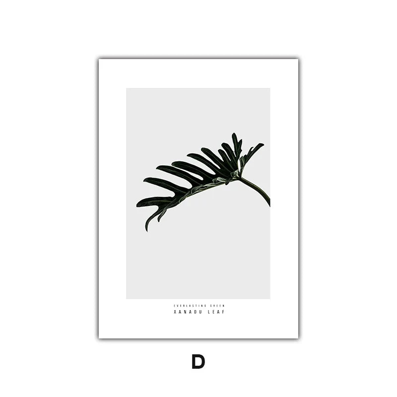 Minimalist Green Leaves Modern Botanical Specimen Wall Art Artistic Canvas Prints Gallery Wall Pictures For Living Room Dining Room Art Decor | Skanto