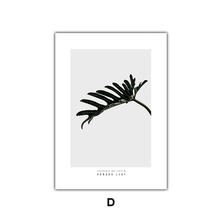 Minimalist Green Leaves Modern Botanical Specimen Wall Art Artistic Canvas Prints Gallery Wall Pictures For Living Room Dining Room Art Decor | Skanto