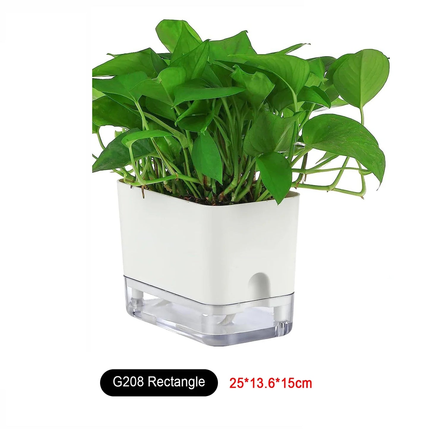 Norvo | Plantekrukke BloomEase | Selv-vannende & Plassbesparende | Med Vannivåindikator | For Innendørsplanter & Urter