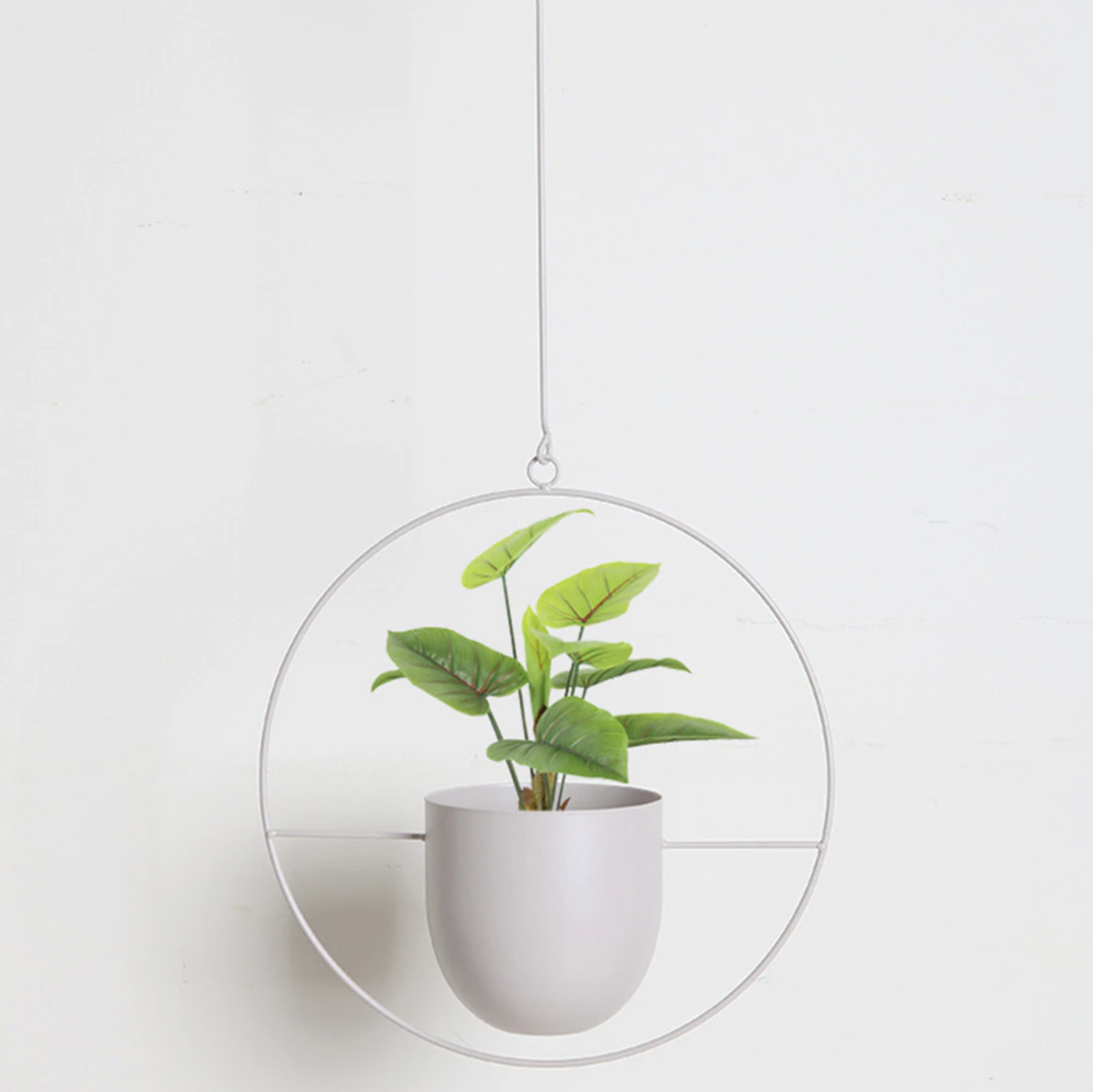 Skanto | FloraFrame – Elegant Metallplanteholder for Vegg eller Tak