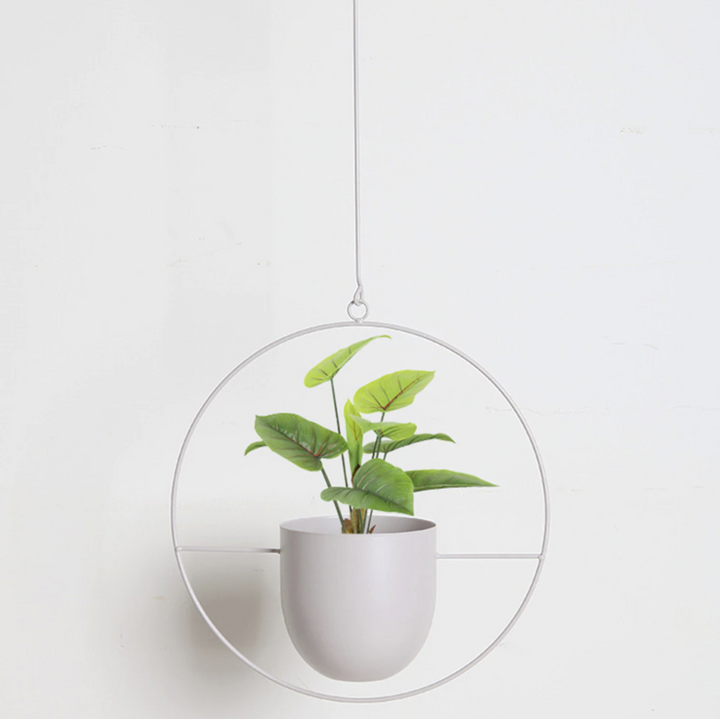 Skanto | Stilfull plantehengning i minimalistisk design!