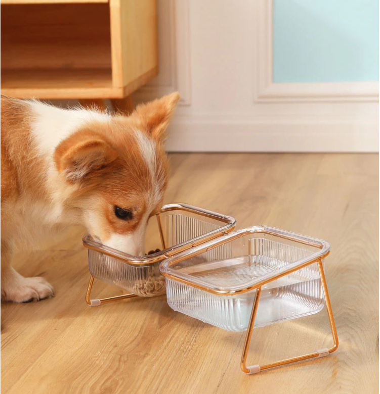 Trendy Feeder for Stylish Animals Skanto