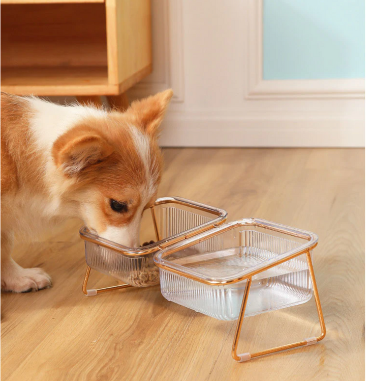 Trendy Feeder for Stylish Animals Skanto