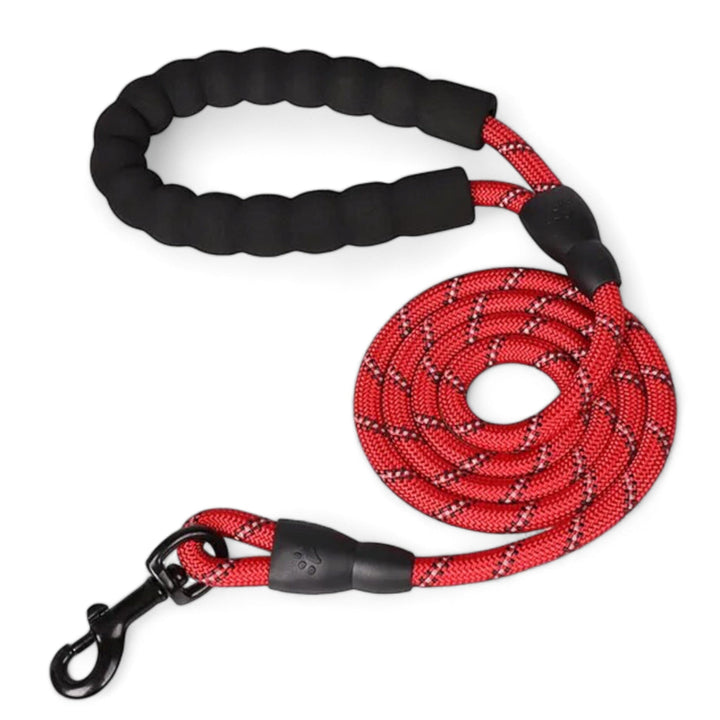 Skanto Pully