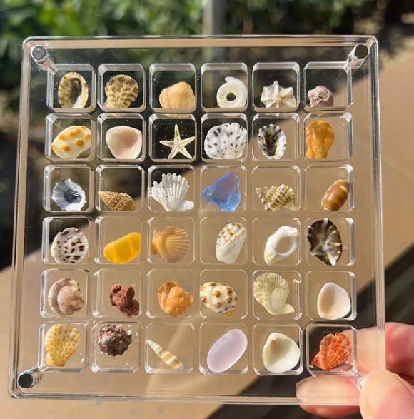 Acrylic Treasure Keeper | Stilfull lagring av din havsamling | Skanto