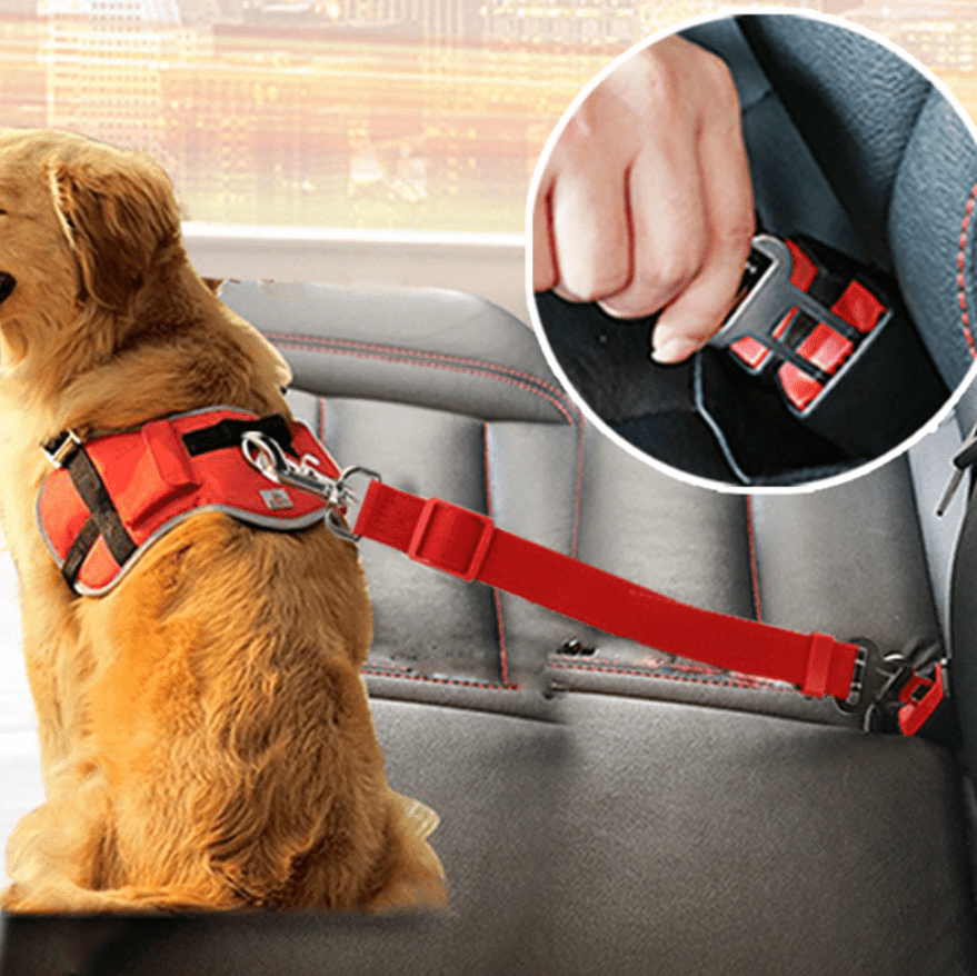 Skanto | SAFEPAW – Justerbart sikkerhetsbelte for hunder i bilen