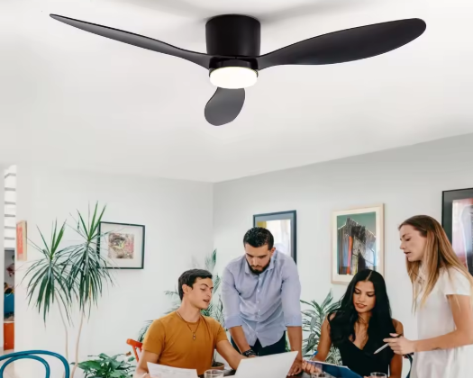 Skanto | Moderne Takvifte med Fjernkontroll og LED-belysning