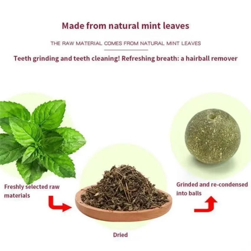 Norvo | leke med kattemynte for tannpleie og leketid moro