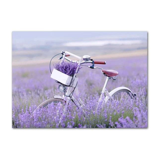 Provence Landskap Purpur Lavendel Bilder av rolig vegkunst Fine Art lerretsutskrifter Galleri veggbilder for stue Kunst Dekor | Skanto