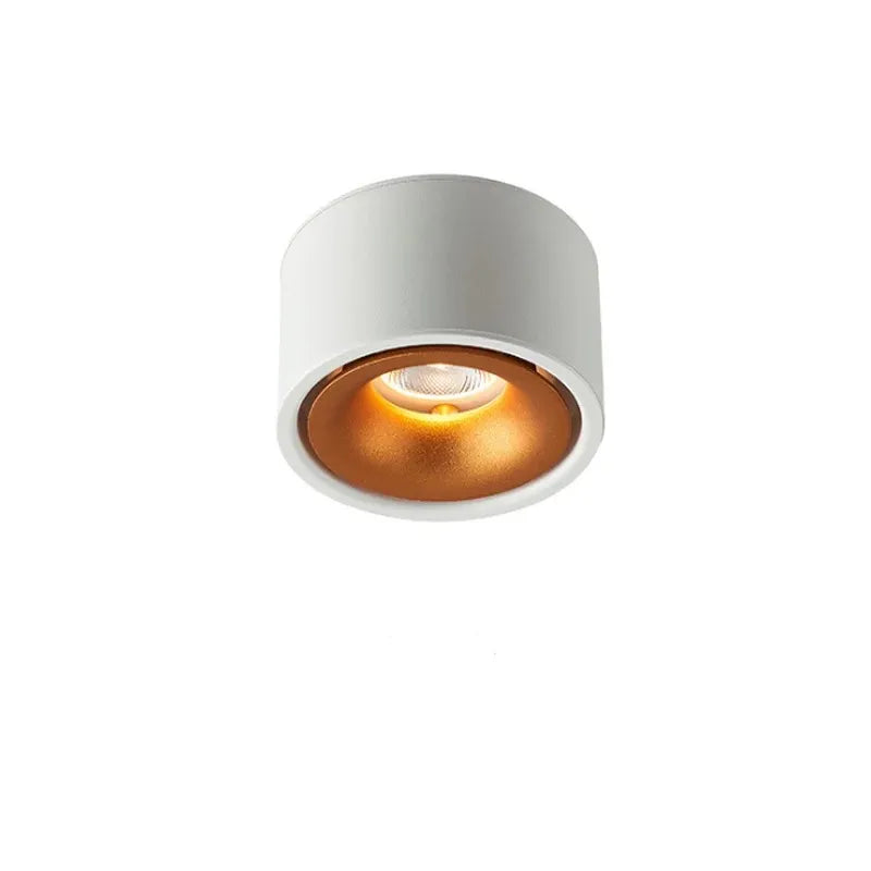Skanto | Blendingfri LED Tak Spot