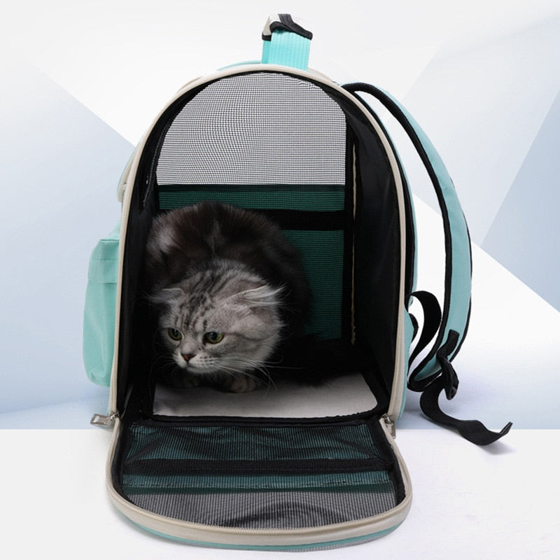 Skanto | Pustende Gjennomsiktig Katt Transportveske
