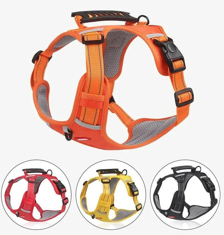 Skanto | anti-drag hundesele for smertefrie turer