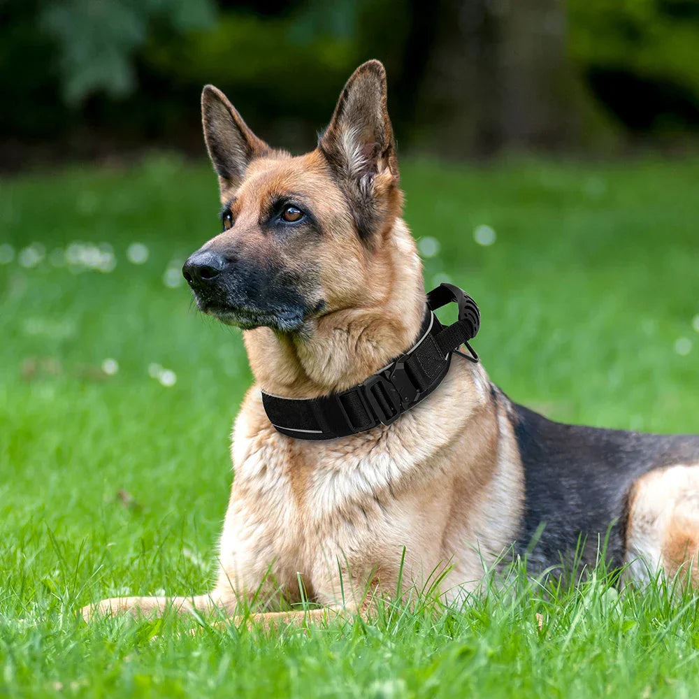Skanto | Militær hundetrenings halsbånd – Holdbart, reflekterende nylonhalsbånd