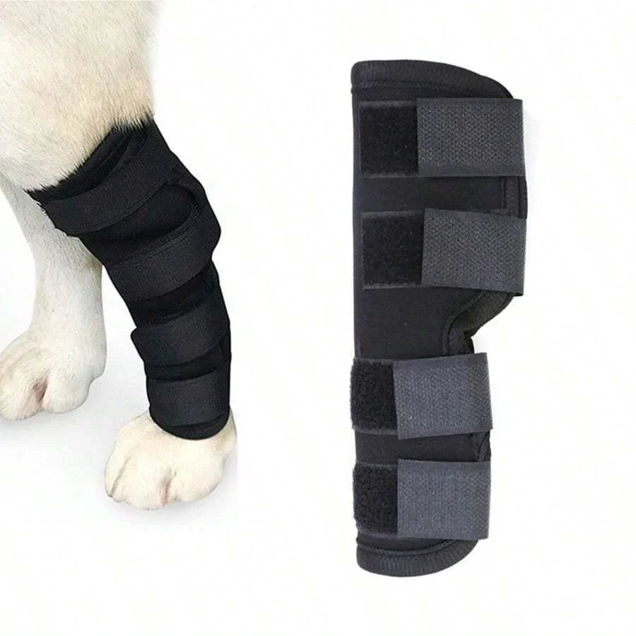 Felles støtte for hunder stabilisering & beskyttelse Skanto