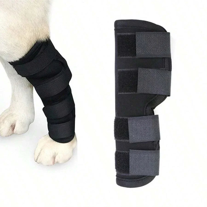 Felles støtte for hunder stabilisering & beskyttelse Skanto