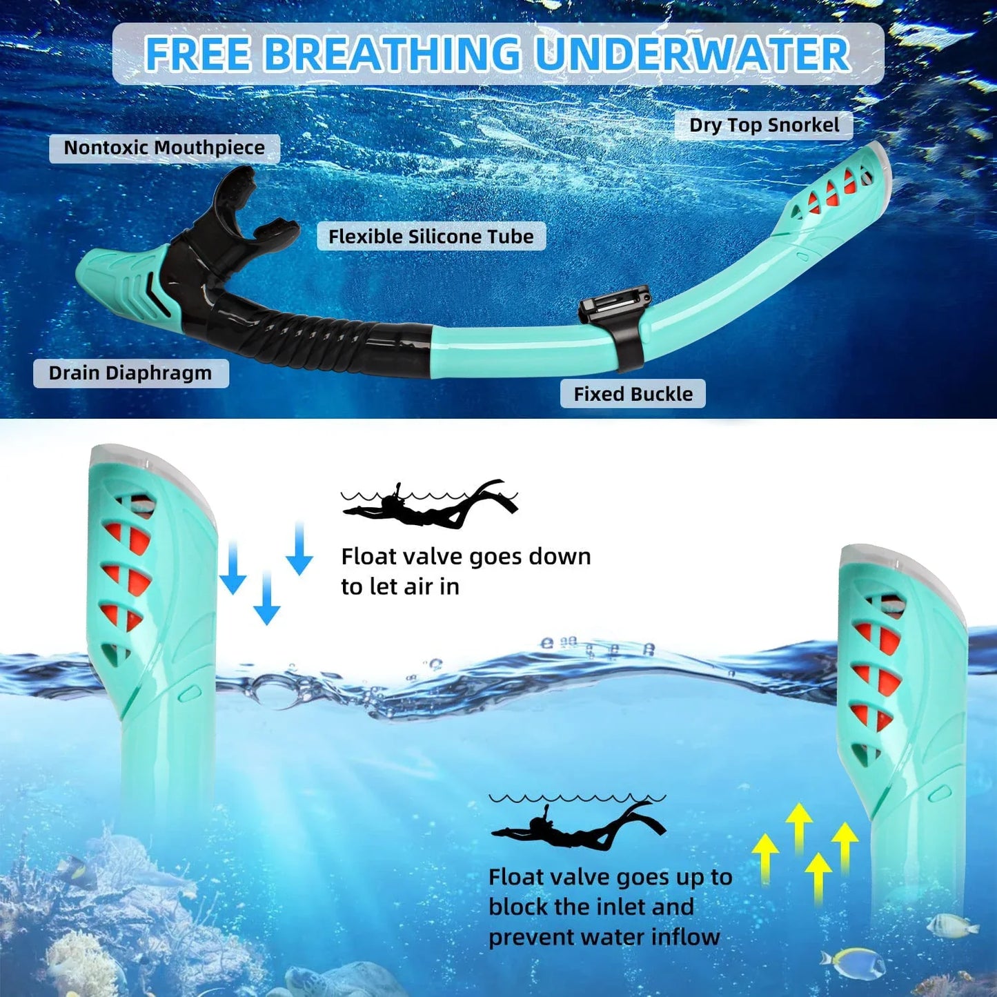 Norvo | Voksen Unisex Snorkling Dykkermaske Sett med Briller
